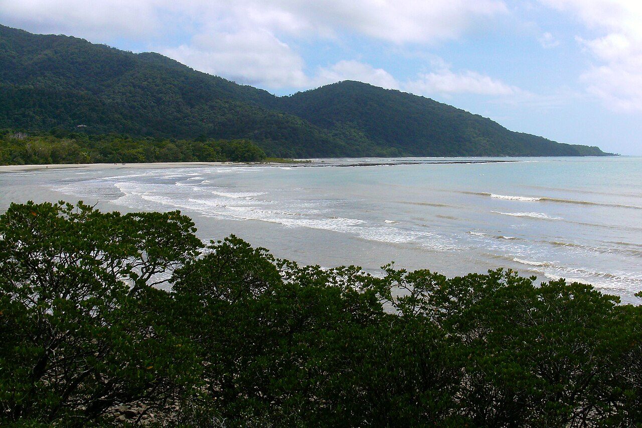Daintree Rainforest