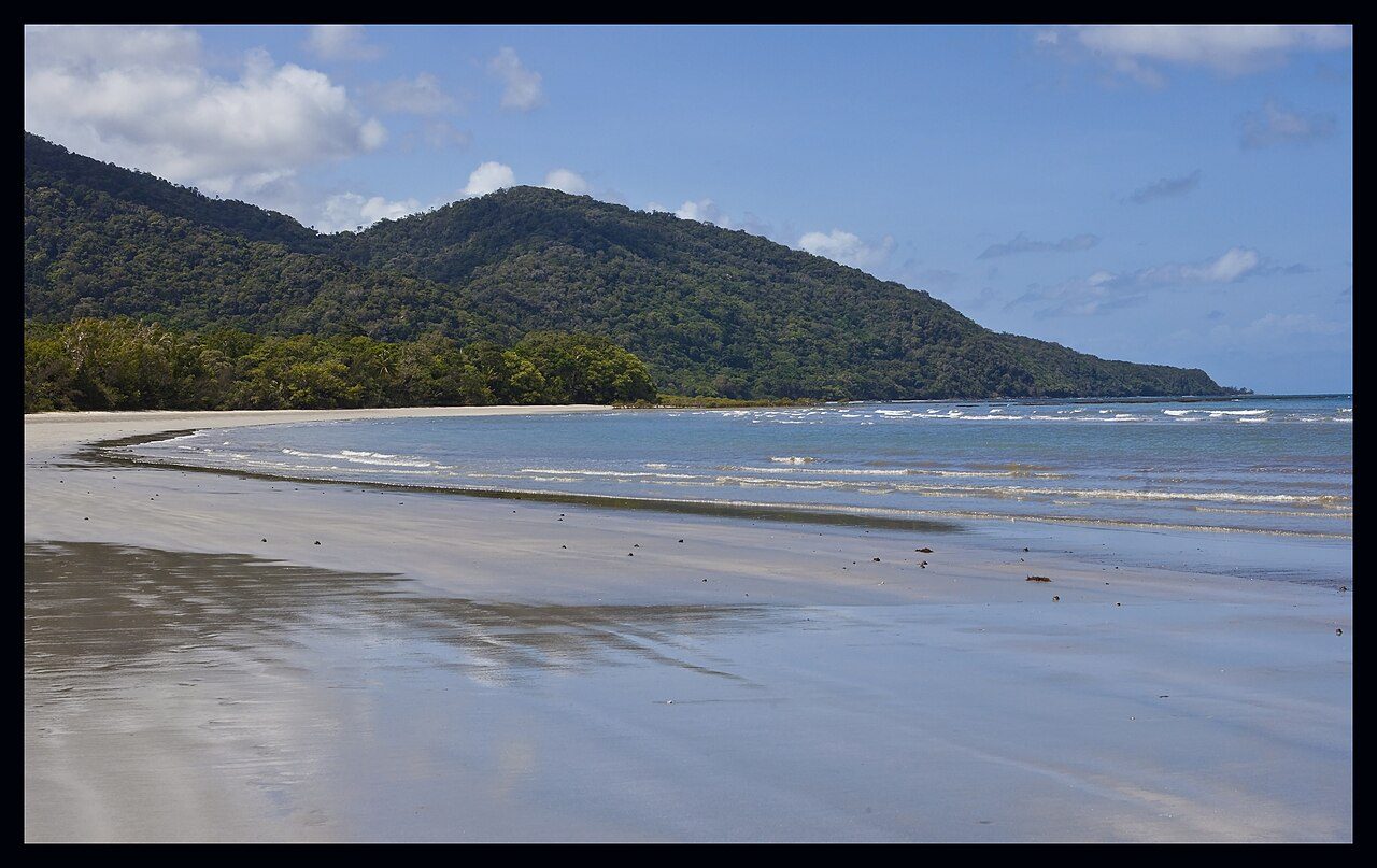 Daintree Rainforest