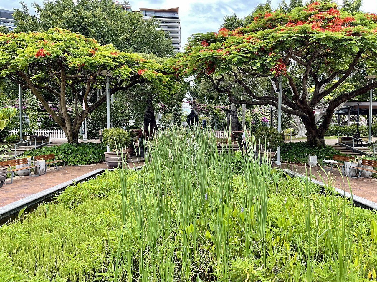 South Bank Brisbane