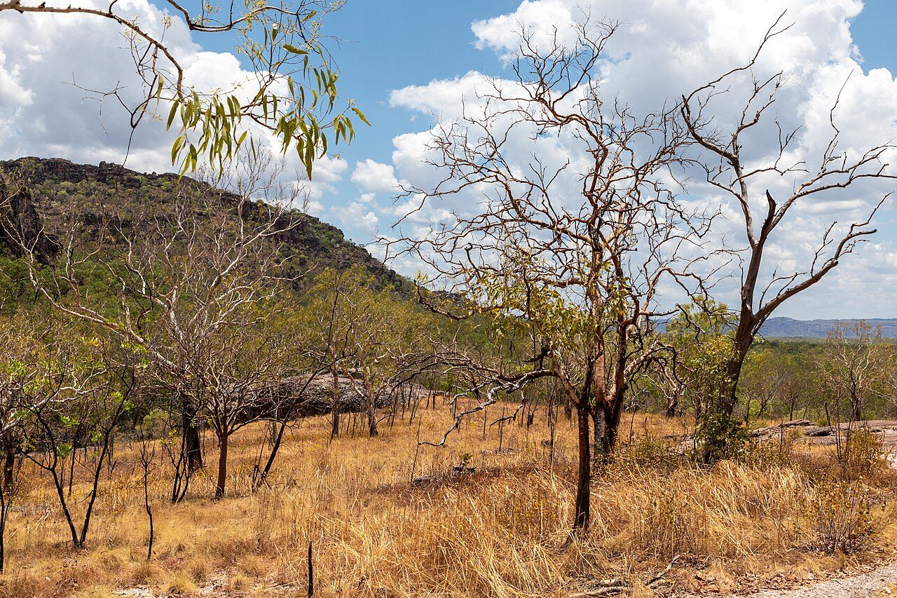Kakadu National Park