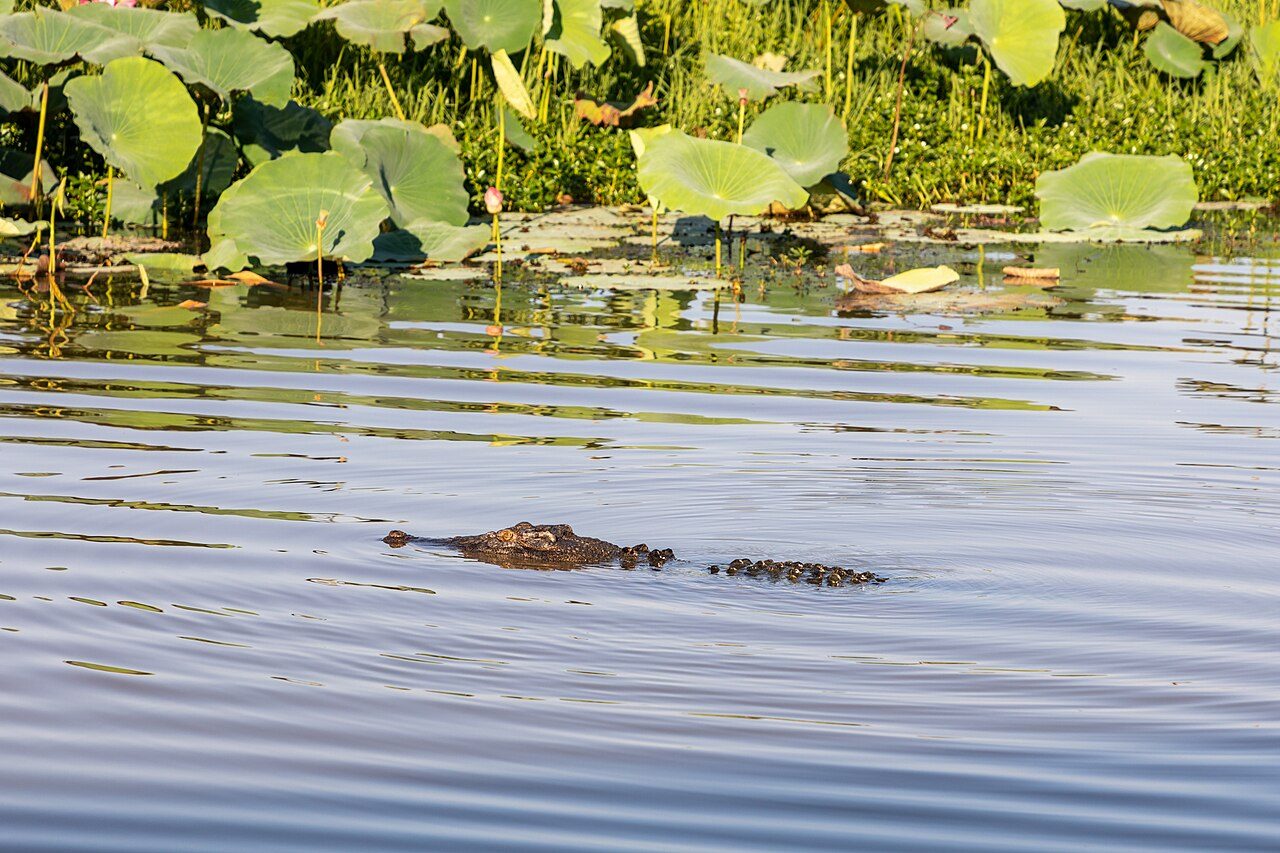 Kakadu National Park