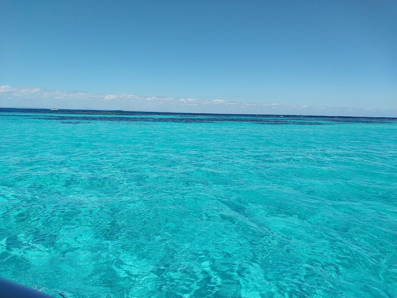 Rottnest Island