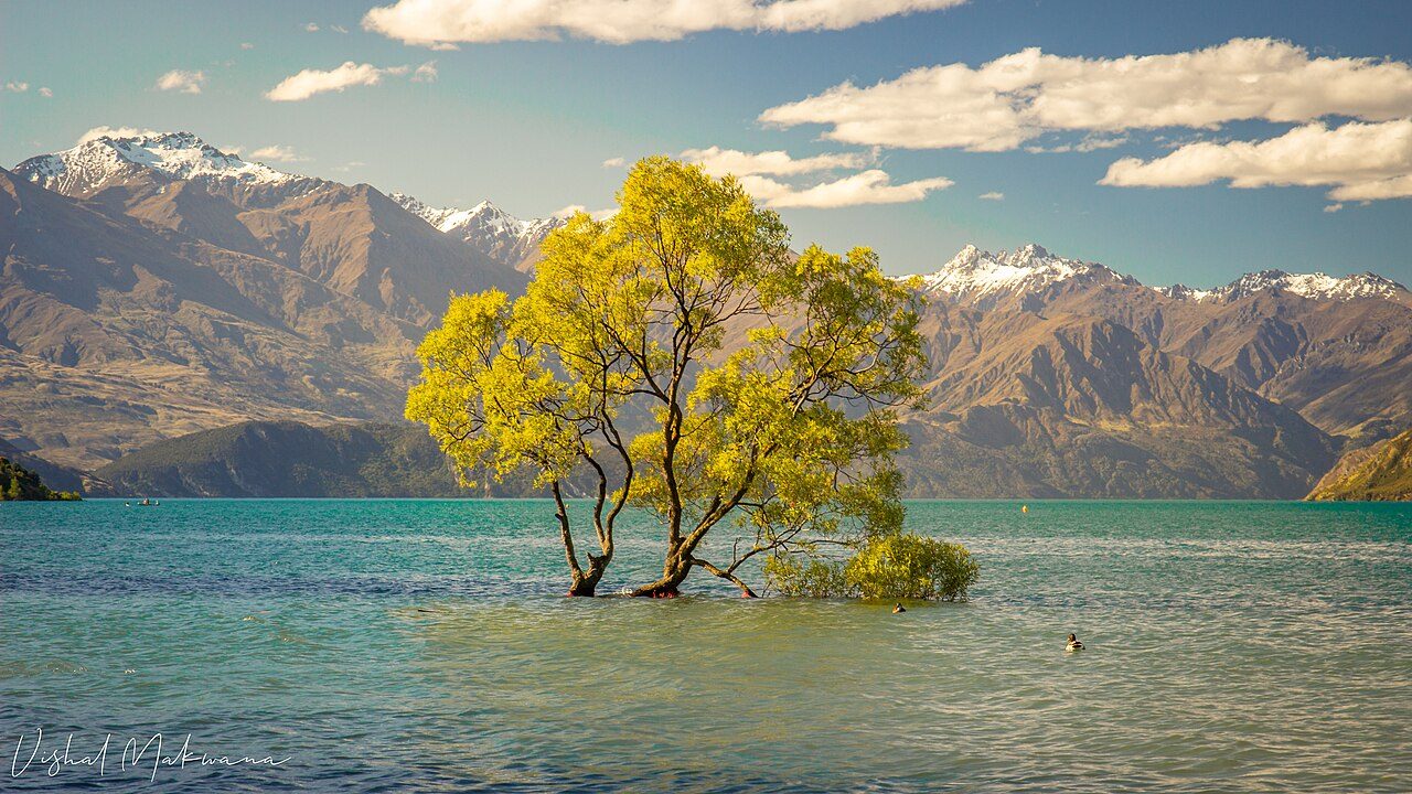 Lake Wanaka