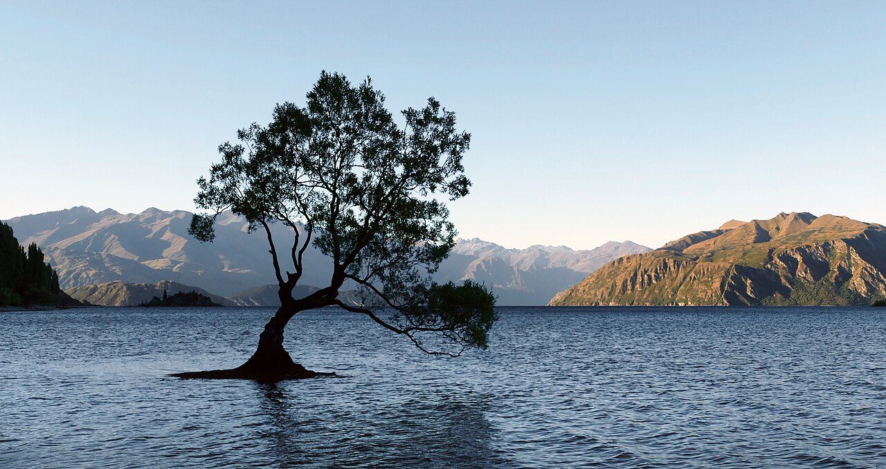 Lake Wanaka