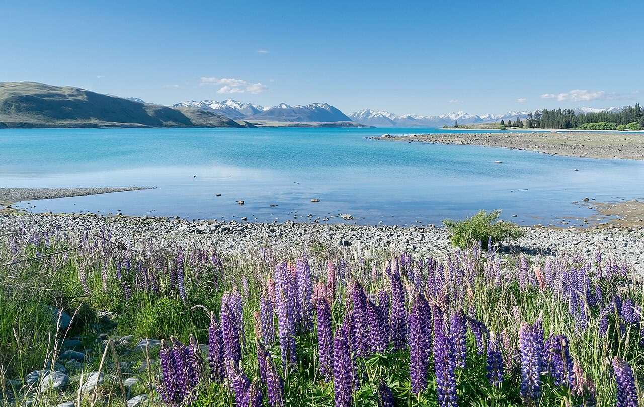 New Zealand's South Island in 11 Days