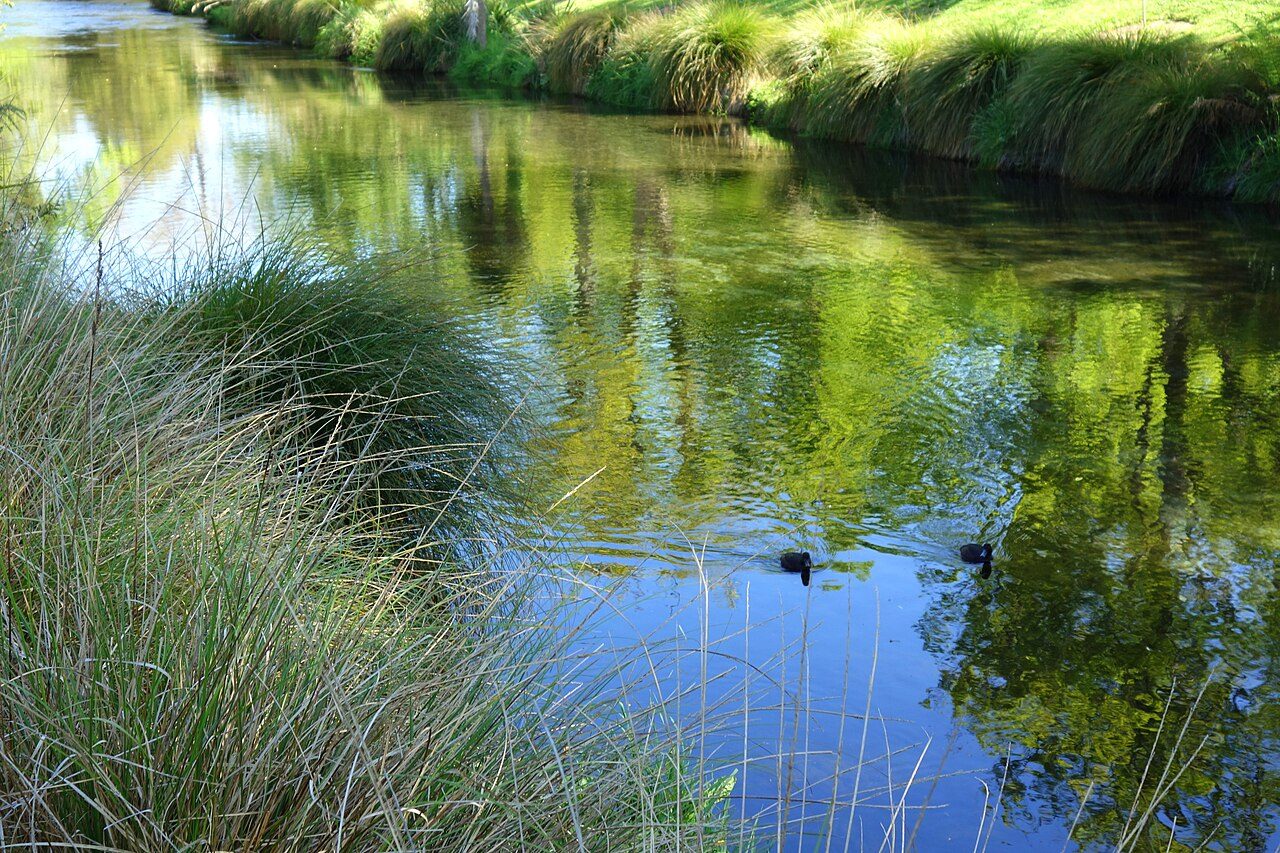 Christchurch Botanic Gardens