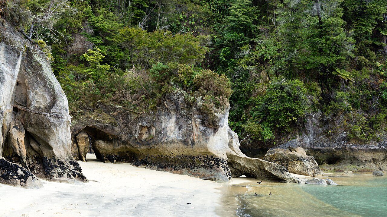 Abel Tasman National Park