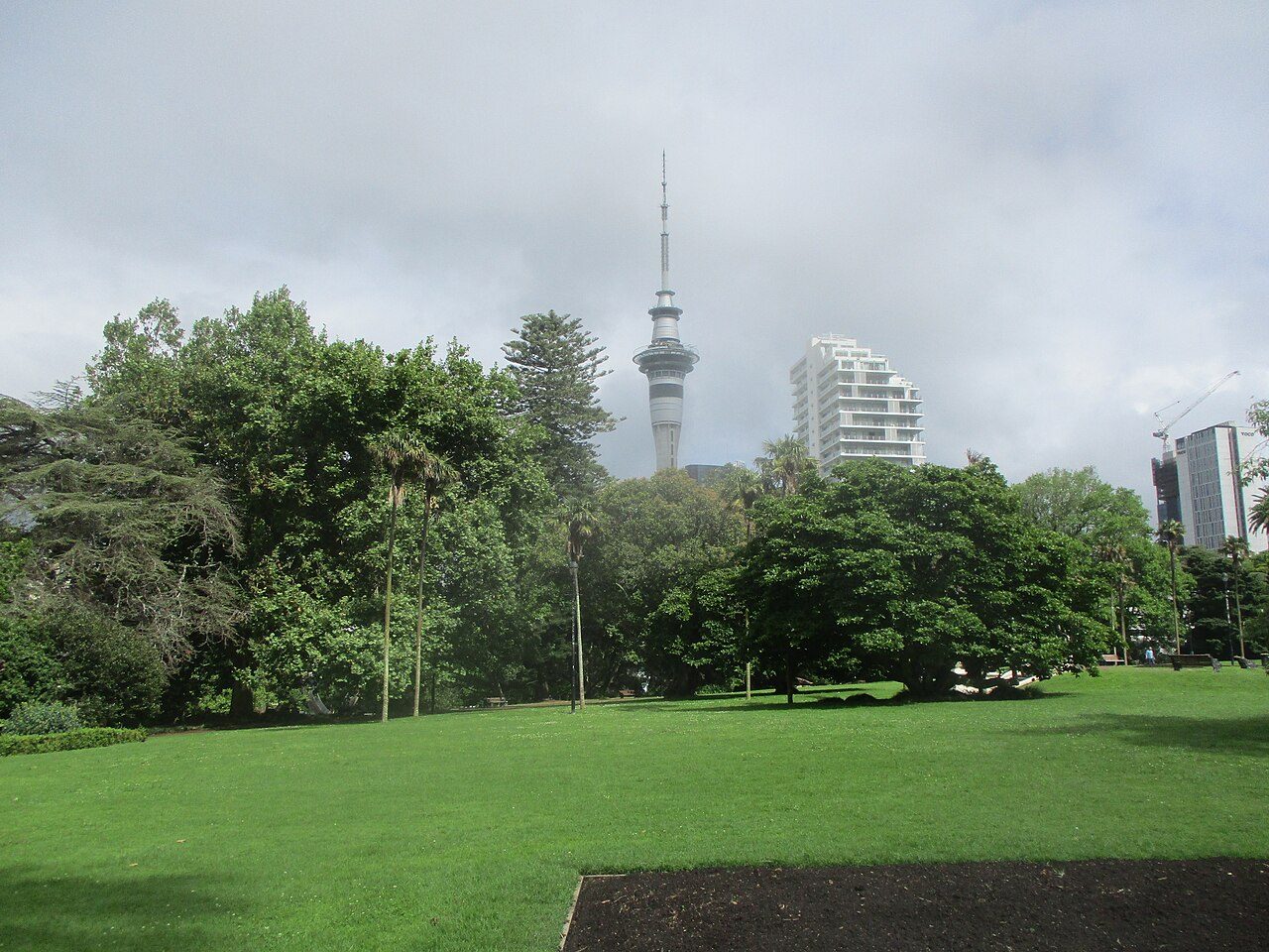 Sky Tower