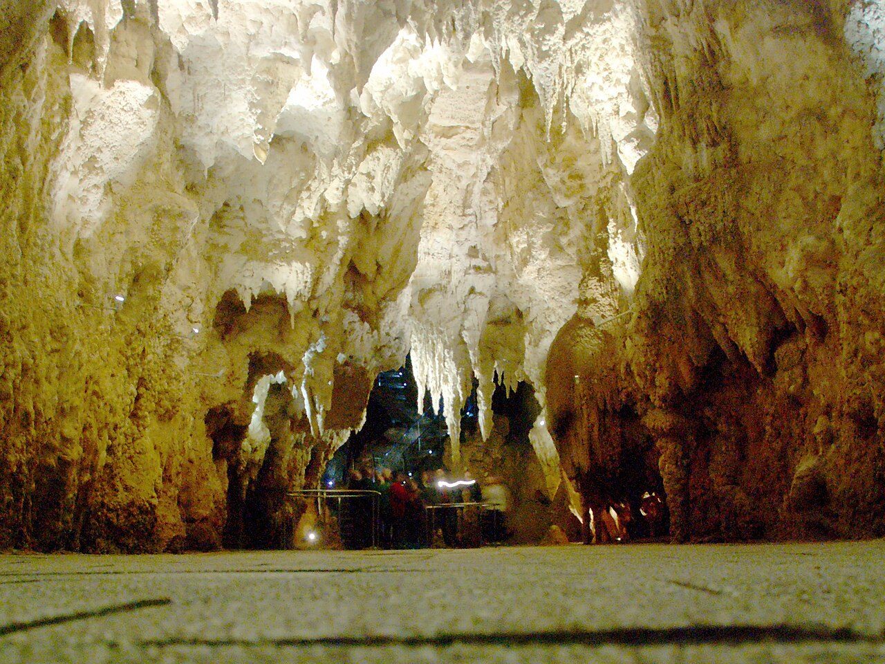 Waitomo Caves