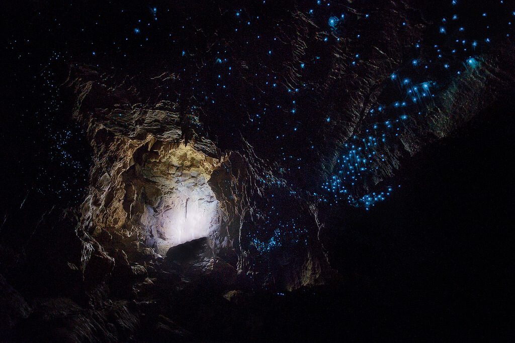 Waitomo Caves