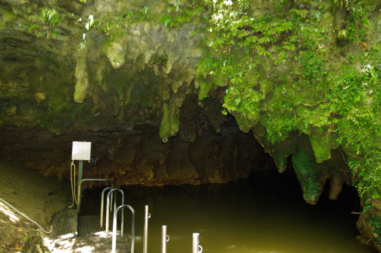 Waitomo Caves