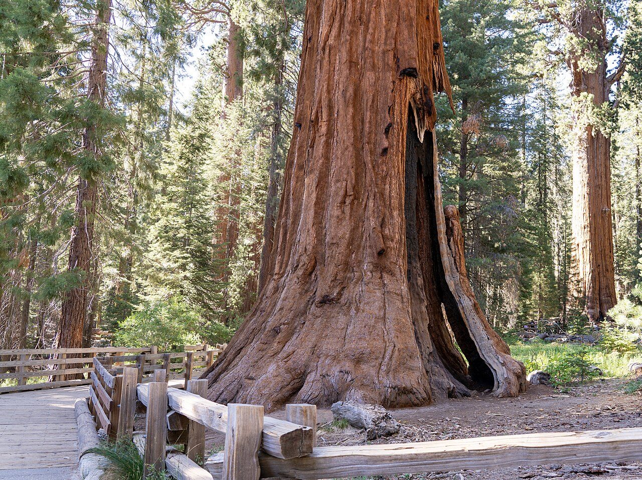 Sequoia National Park