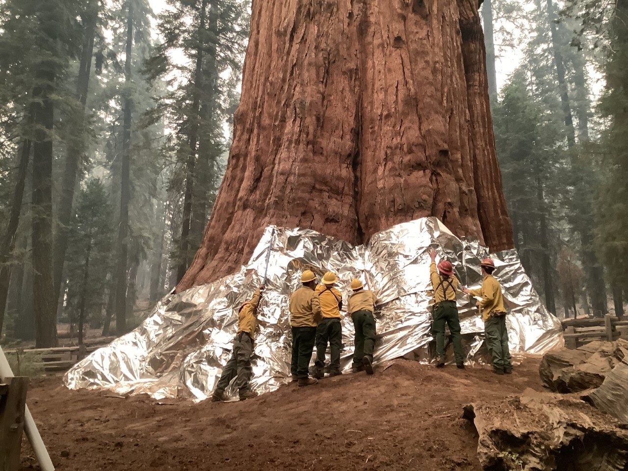 Sequoia National Park