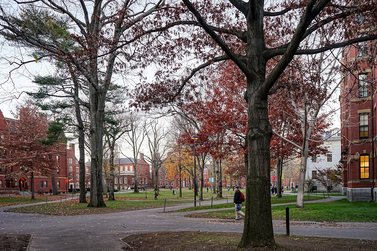 Harvard University