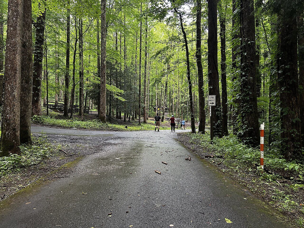 Great Smoky Mountains
