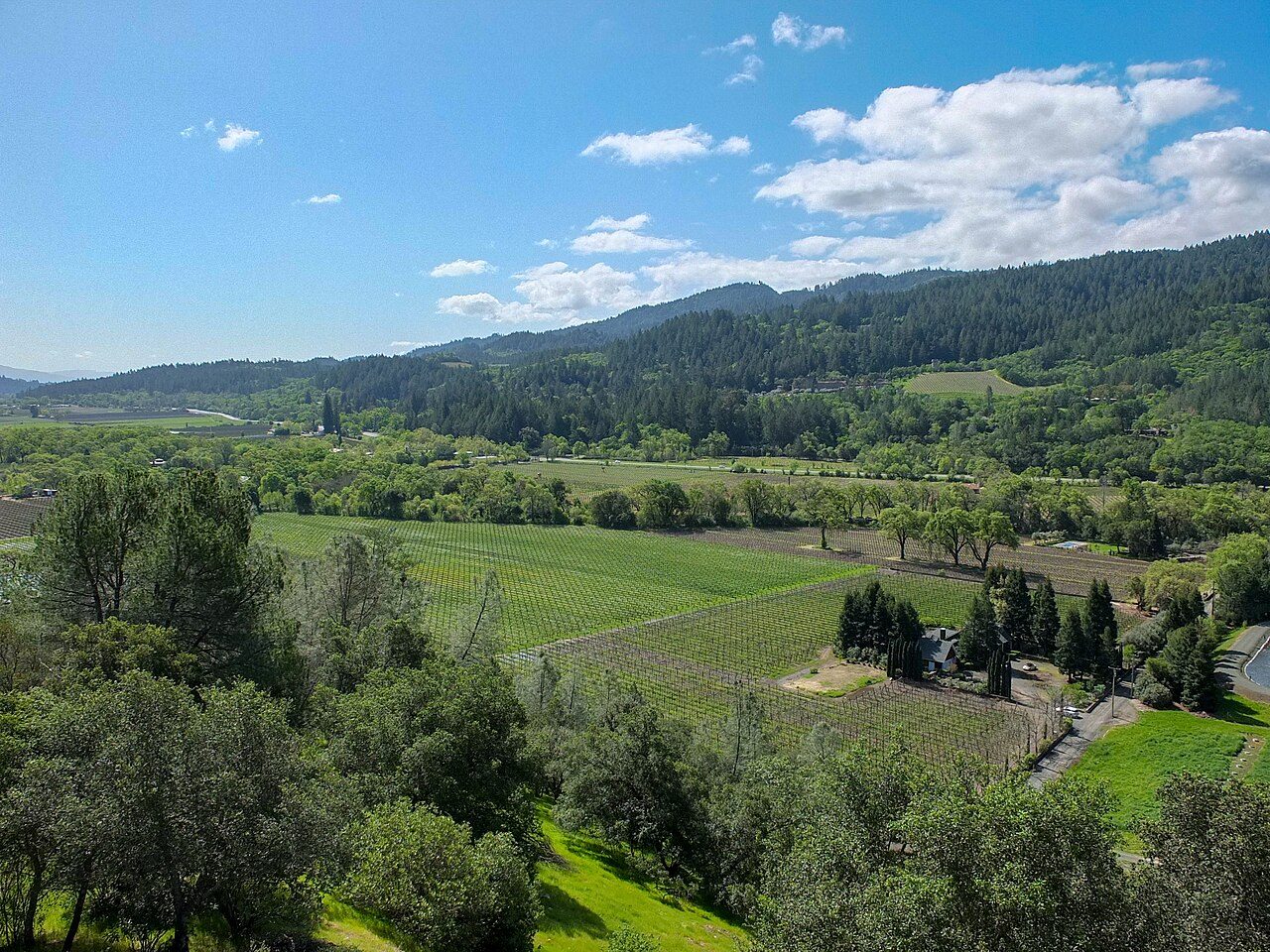 Napa Valley