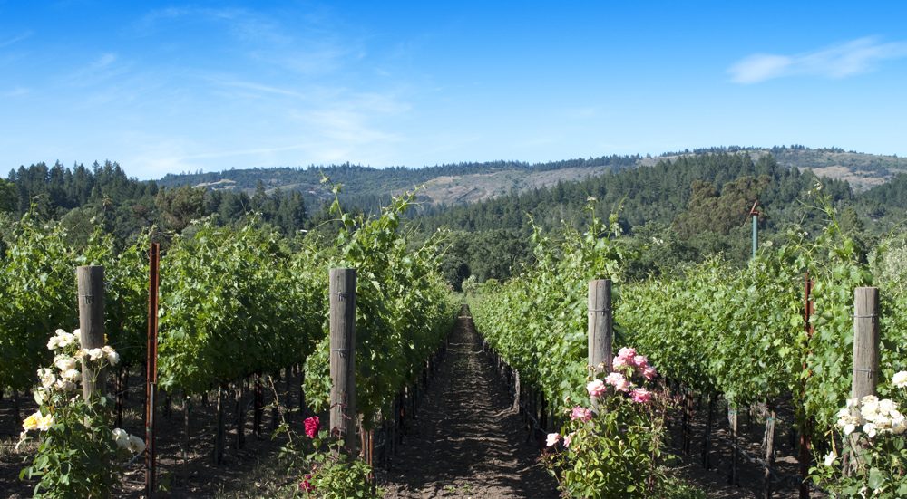 Napa Valley