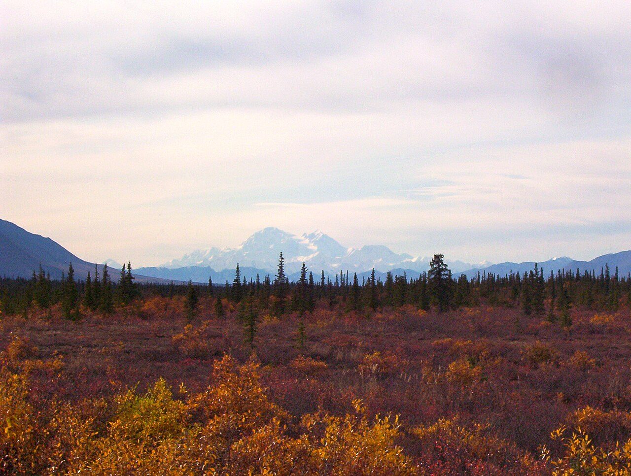 Denali National Park