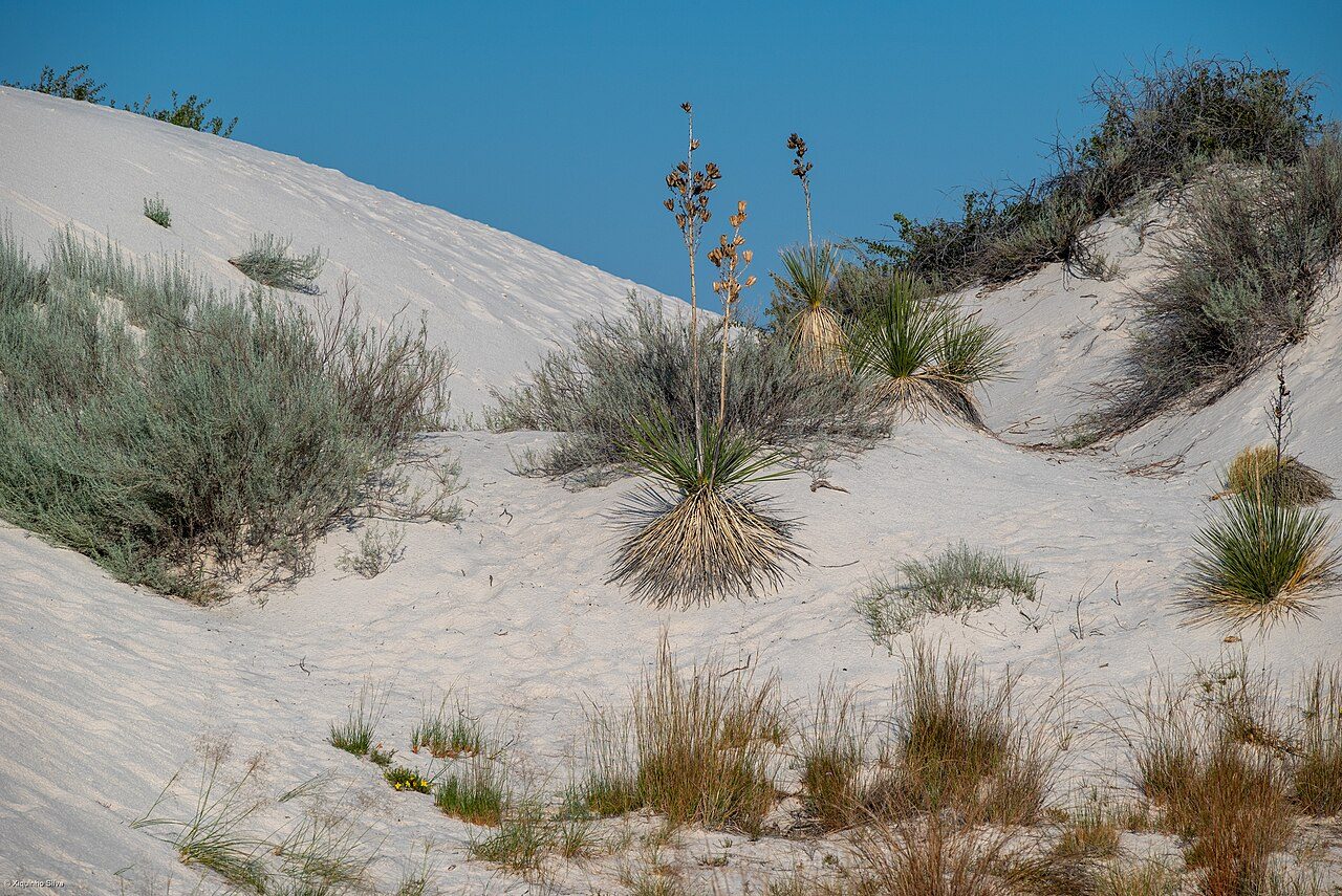 White Sands National Park