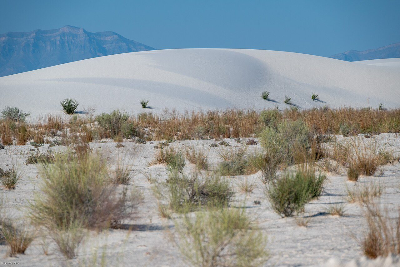 White Sands National Park