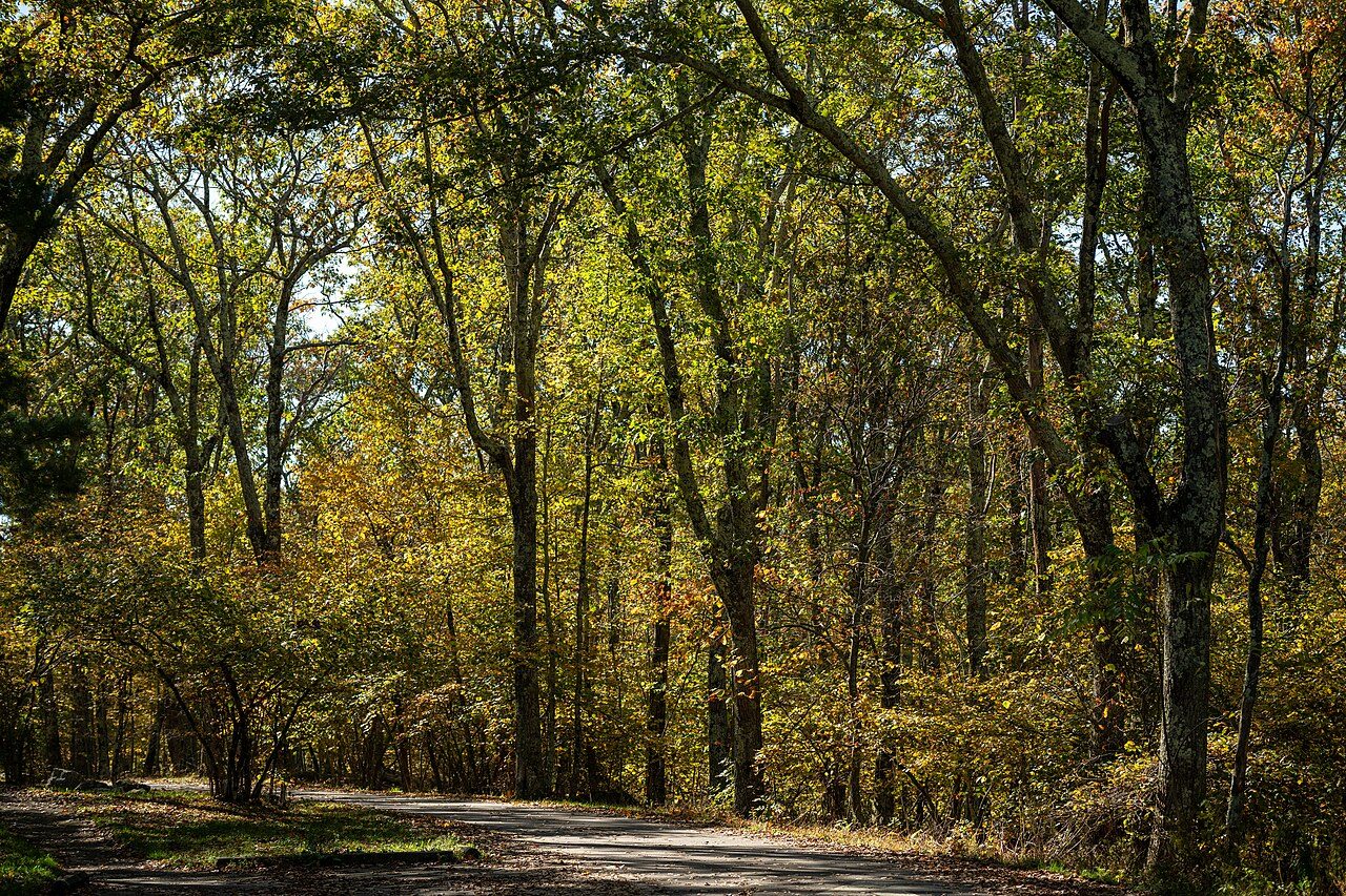 Shenandoah National Park