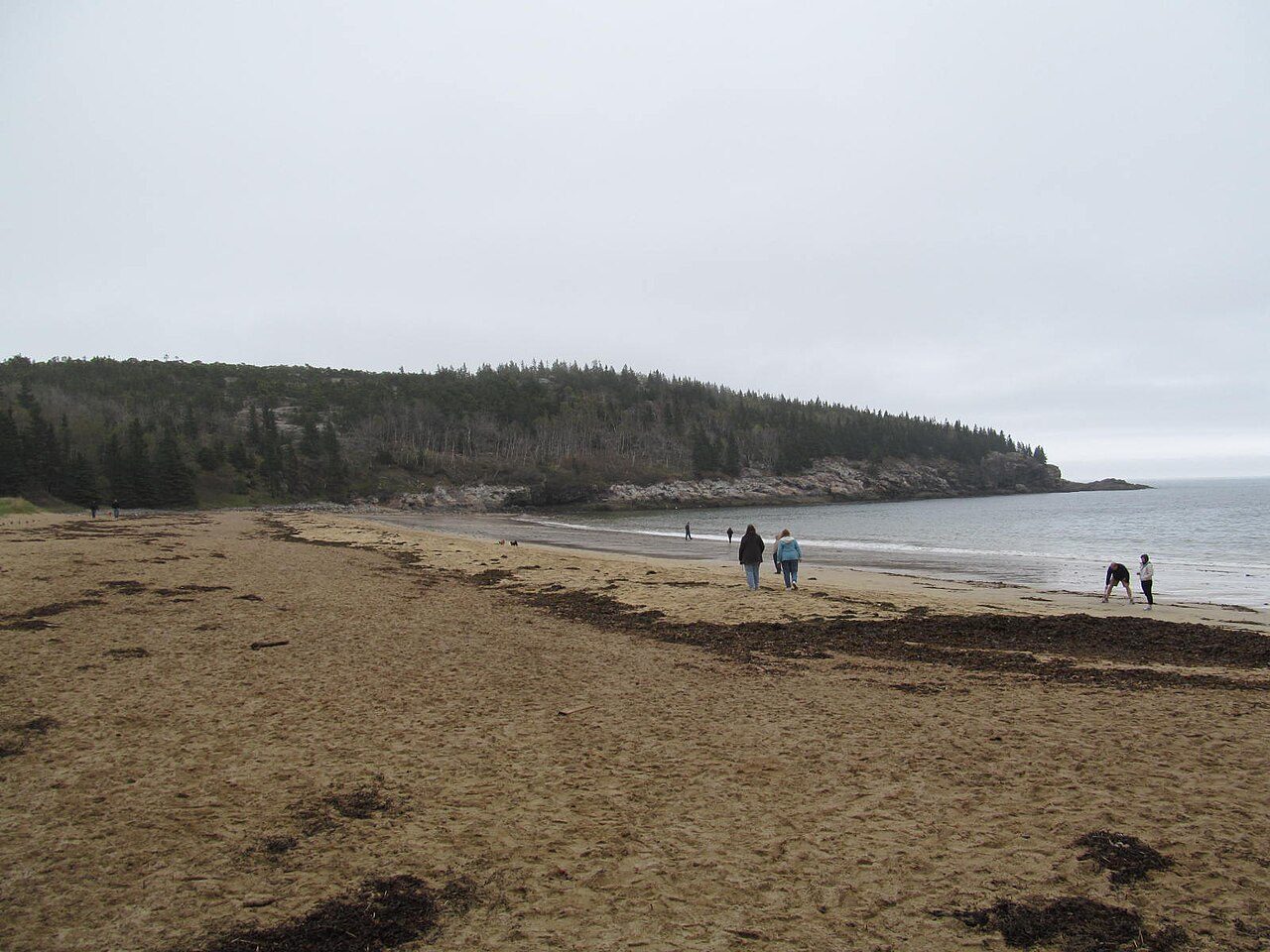 Acadia National Park