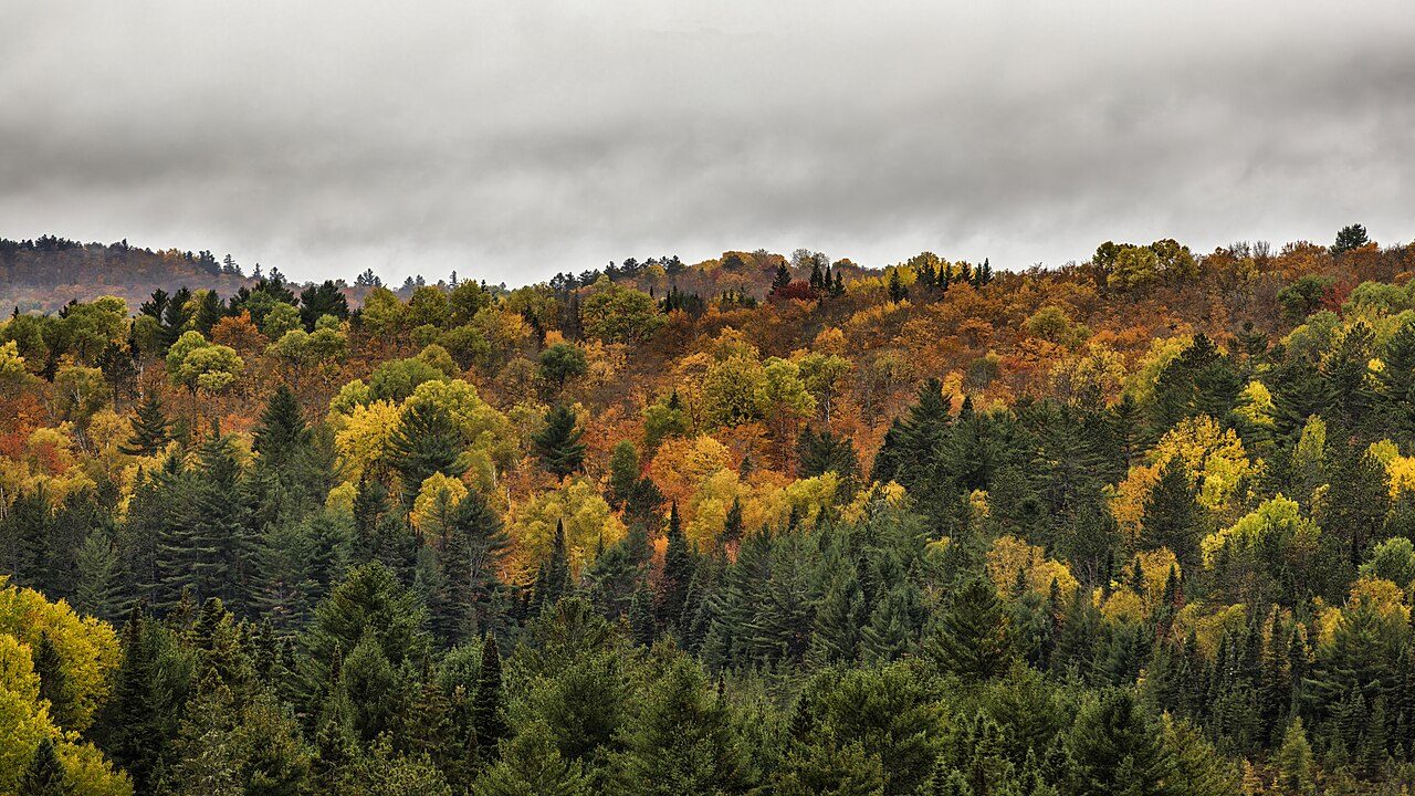 Algonquin Provincial Park