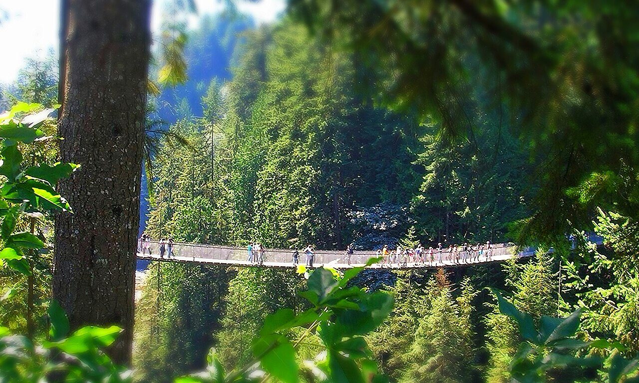 Capilano Suspension Bridge