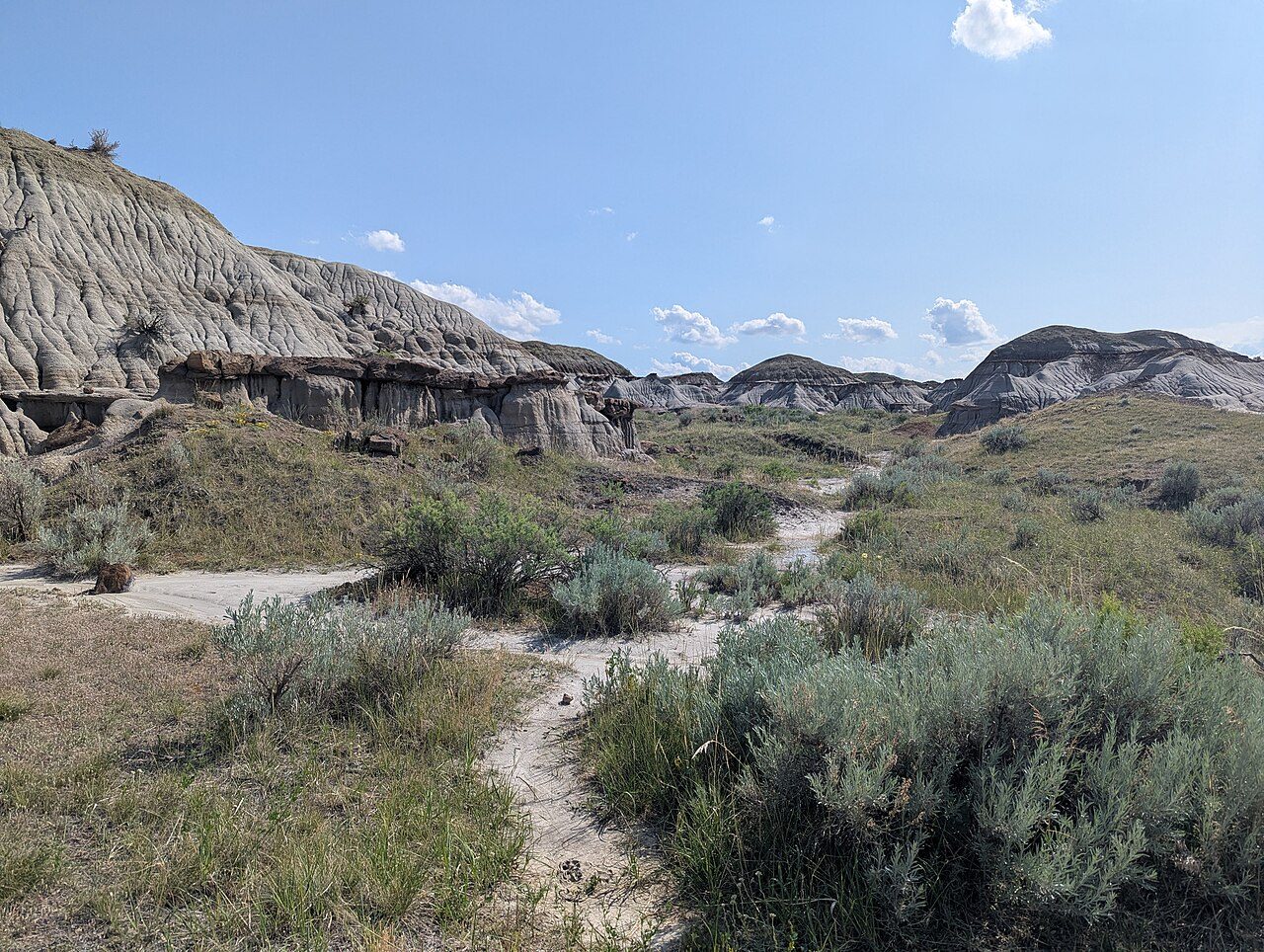 Dinosaur Provincial Park