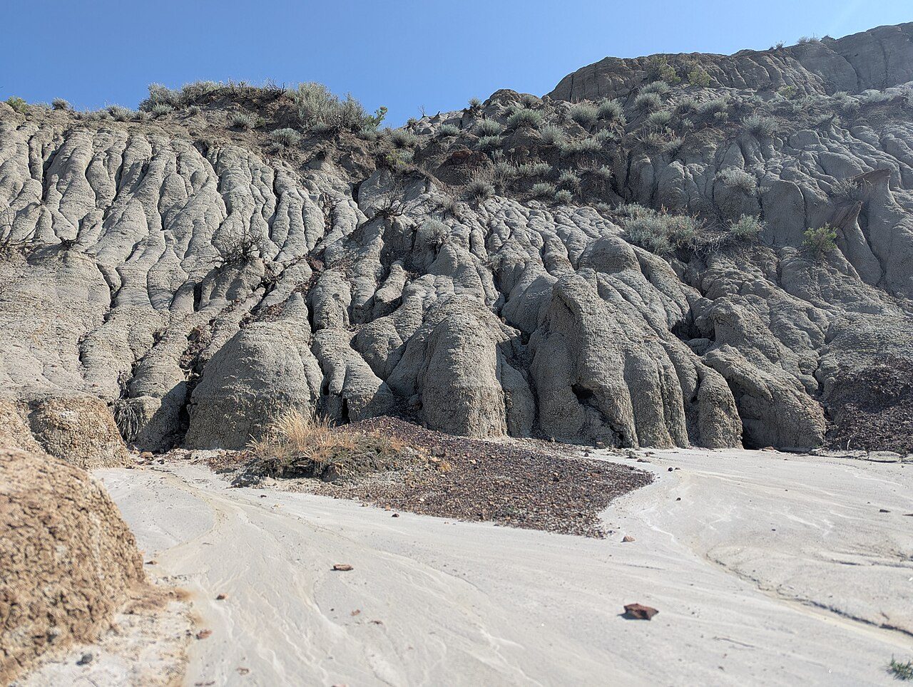 Dinosaur Provincial Park