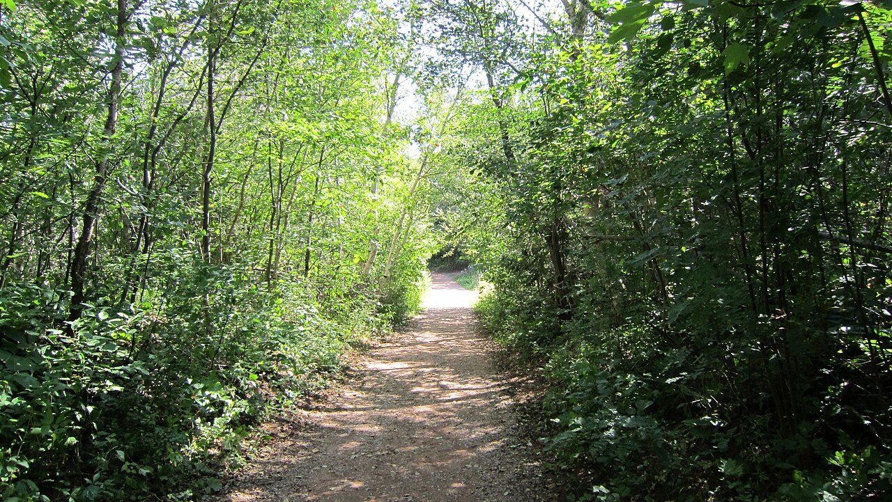 Green Gables