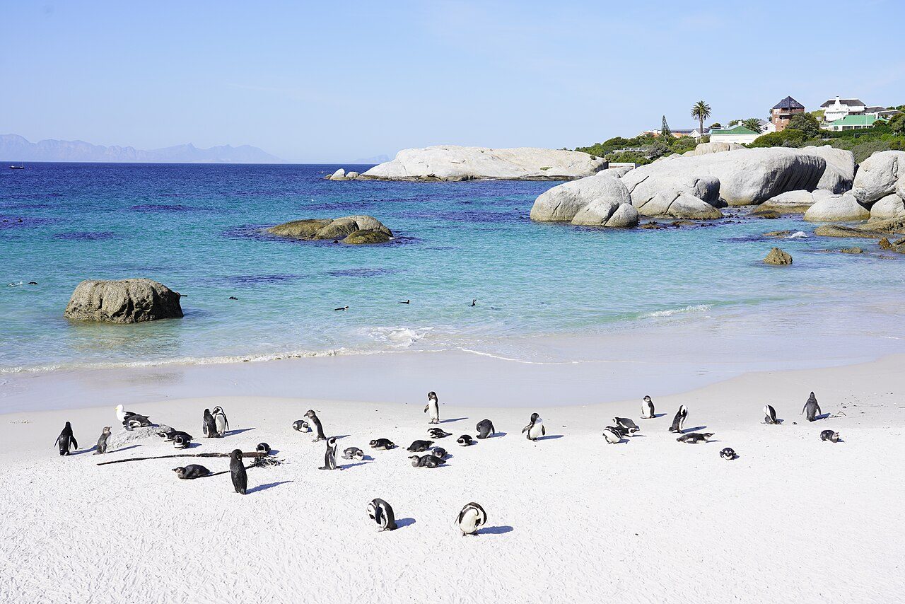 Cape Town in 4 Days: Table Mountain, the Cape Peninsula, Robben Island and Lion's Head