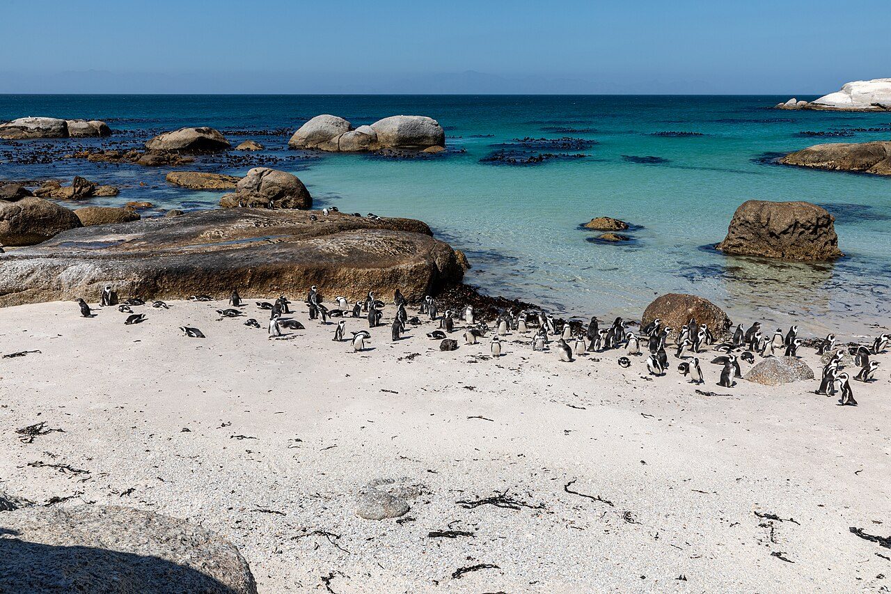 Boulders Beach