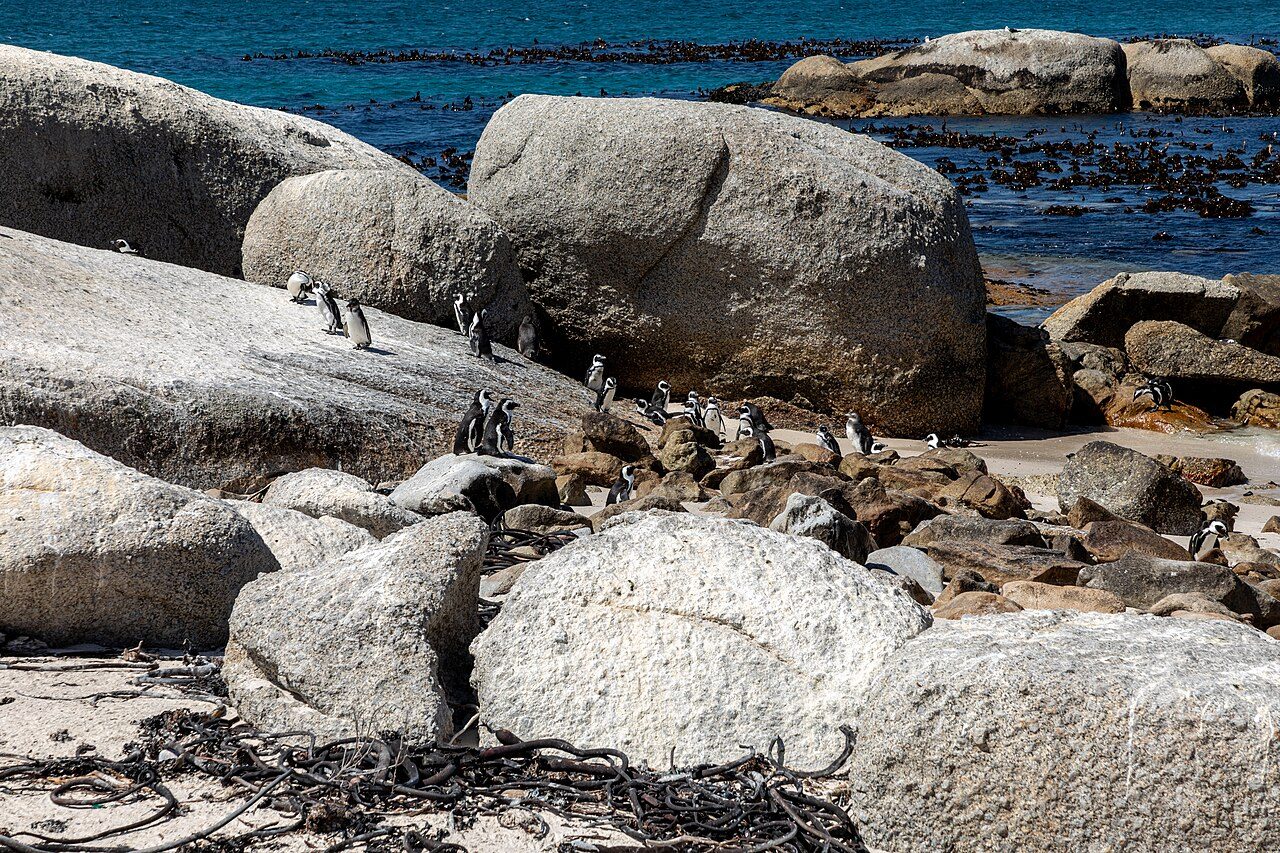Boulders Beach