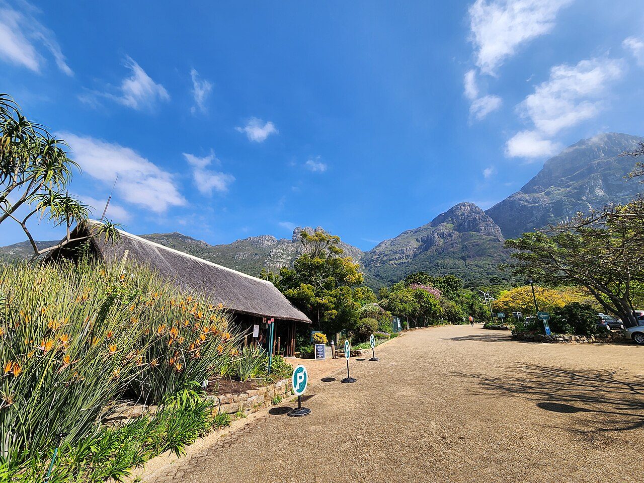 Kirstenbosch National Botanical Garden