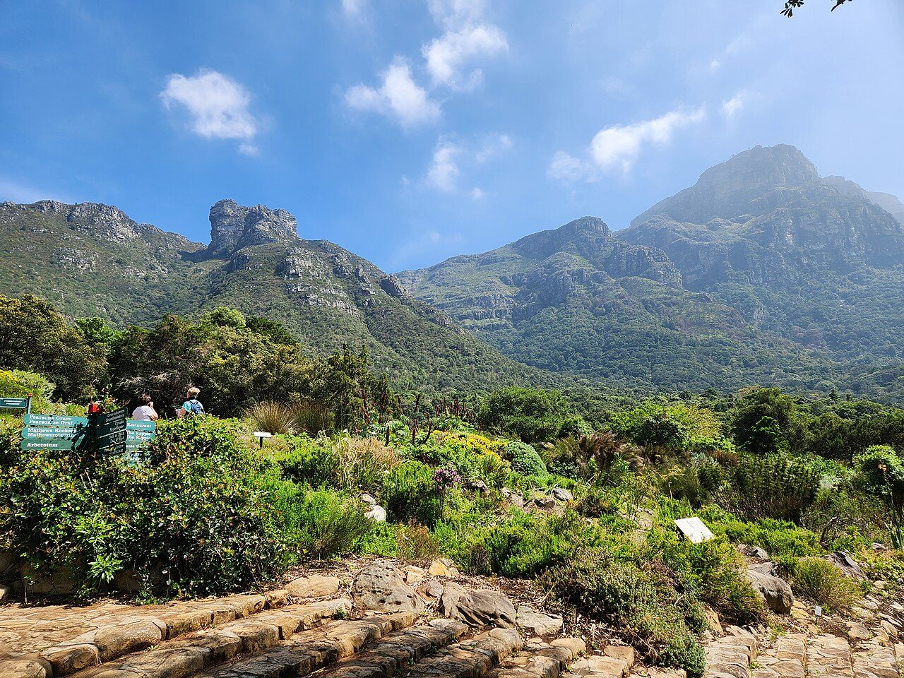 Kirstenbosch National Botanical Garden