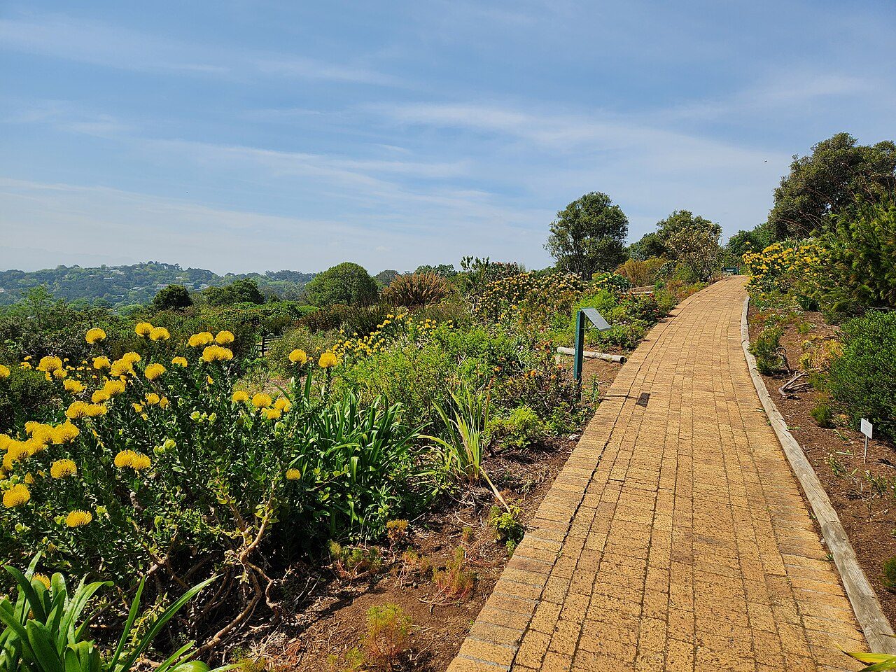Kirstenbosch National Botanical Garden