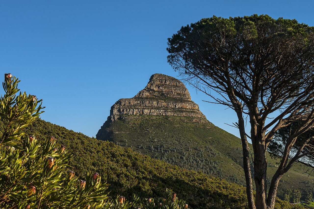 Lion's Head