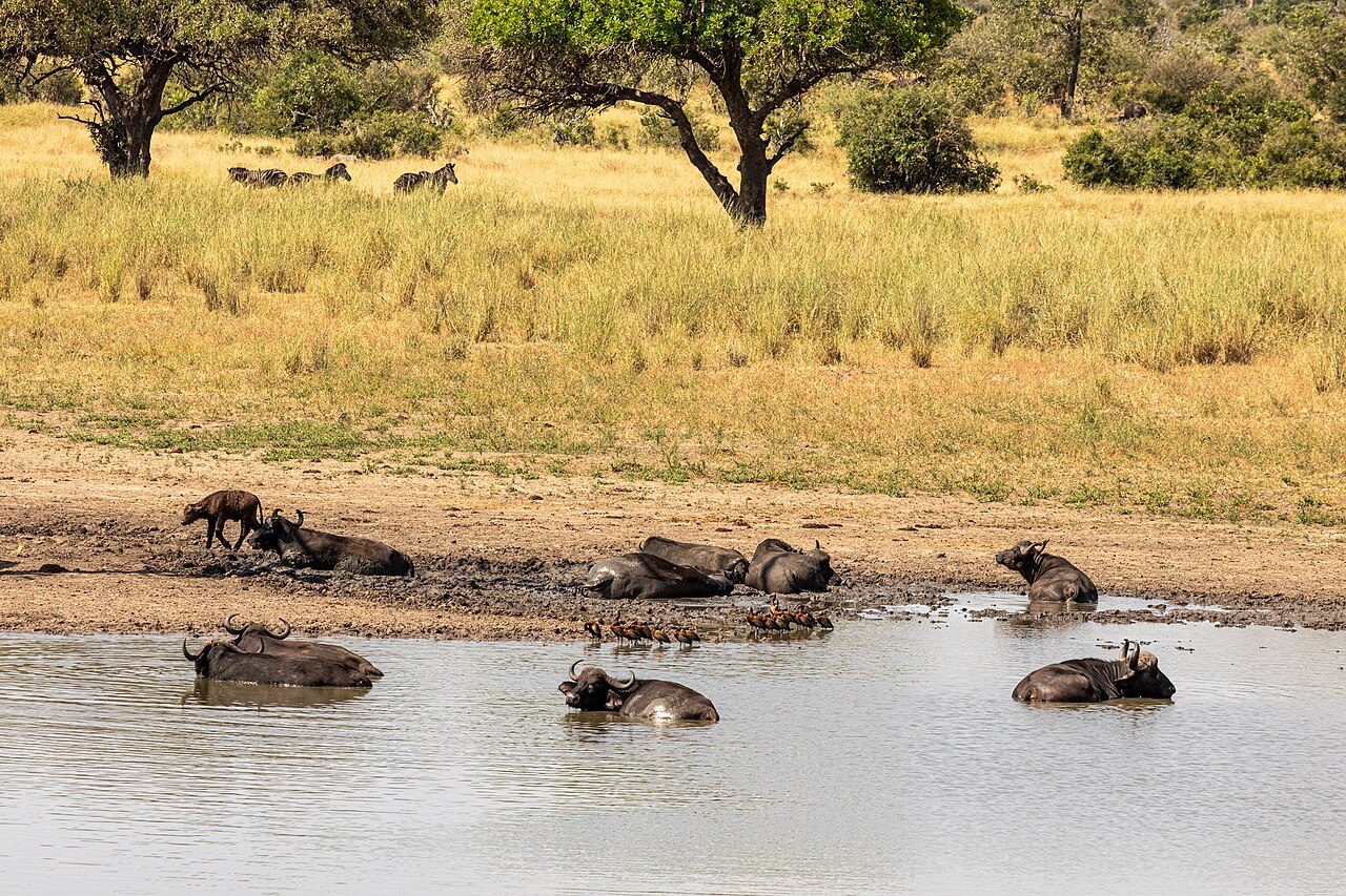 Kruger National Park