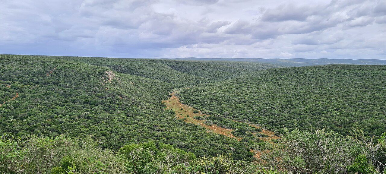 Addo Elephant National Park