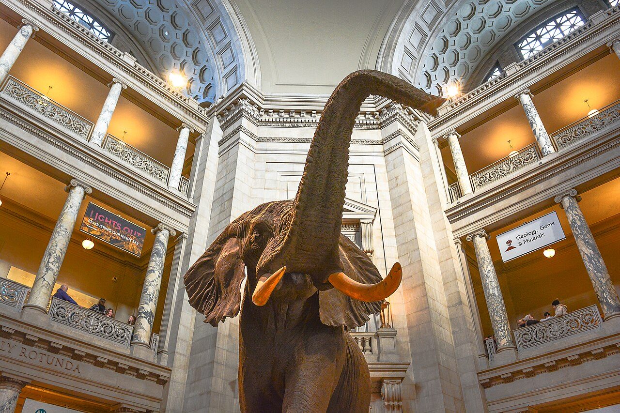 Smithsonian National Museum of Natural History