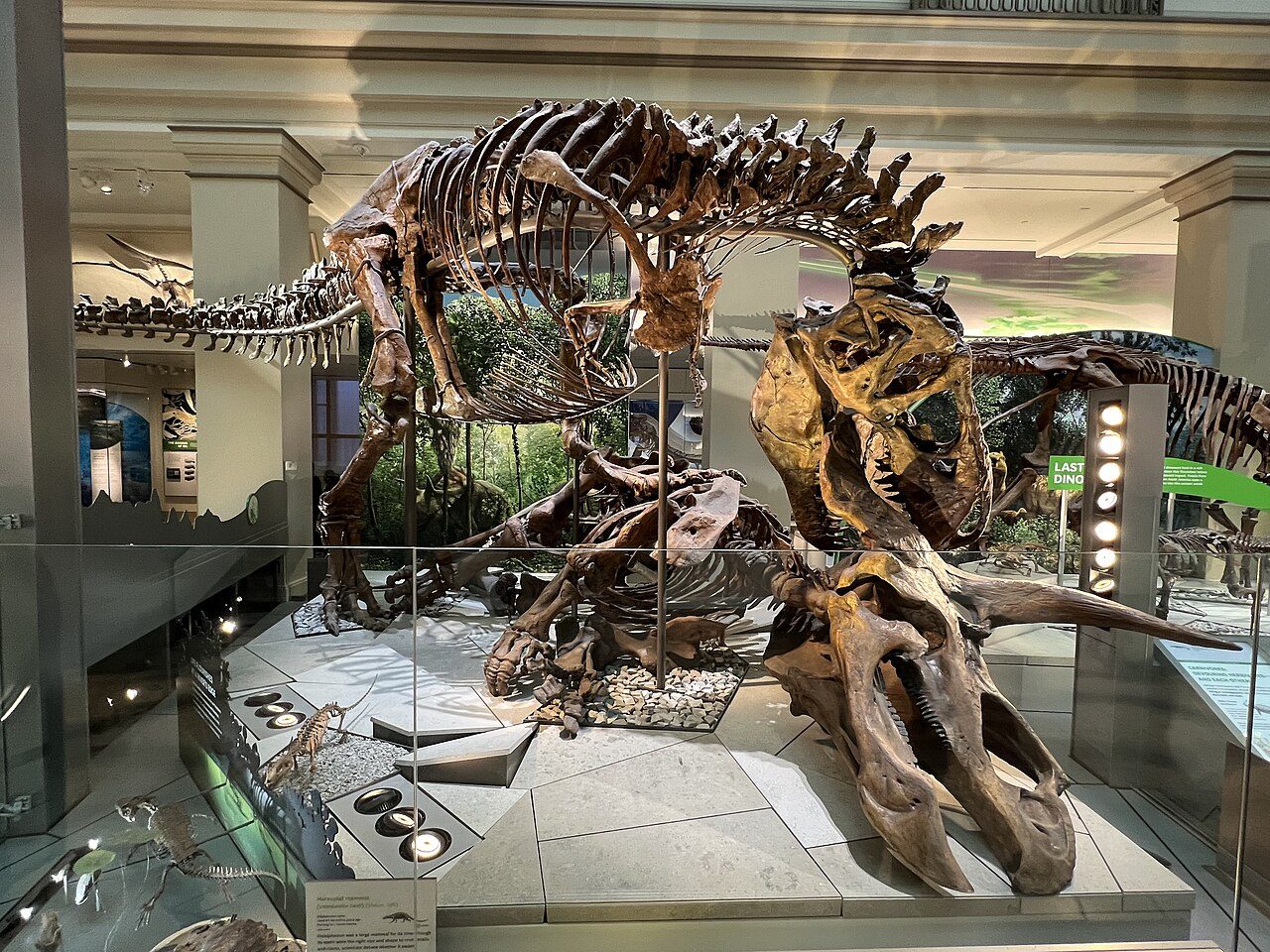 Smithsonian National Museum of Natural History
