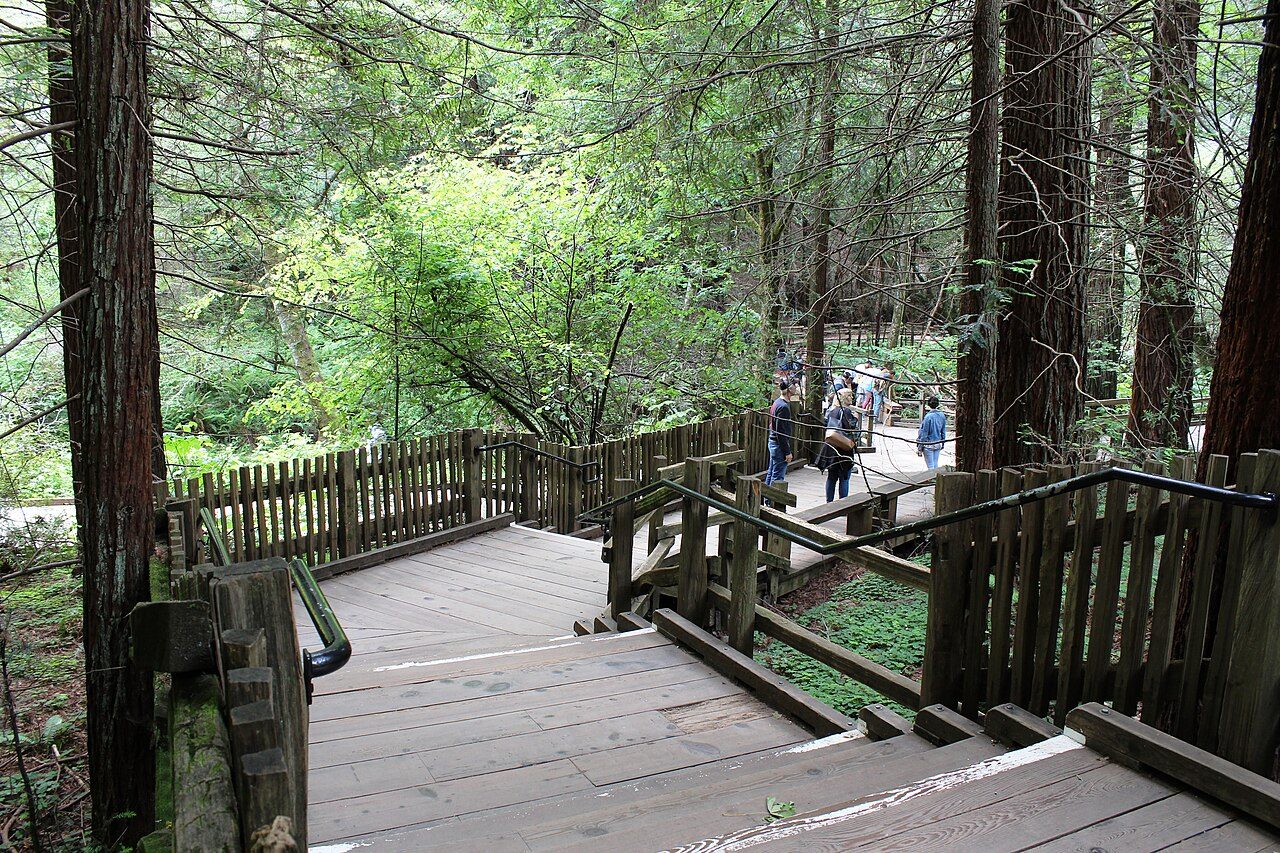 Muir Woods