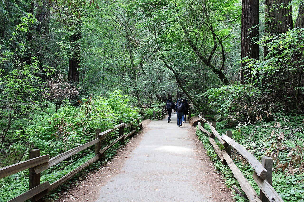 Muir Woods