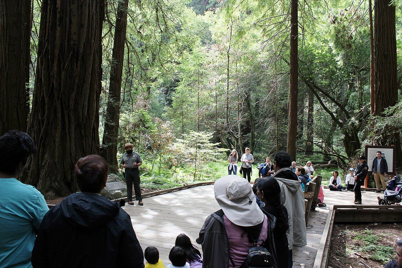 Muir Woods