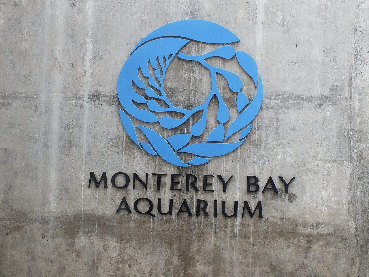 Monterey Bay Aquarium