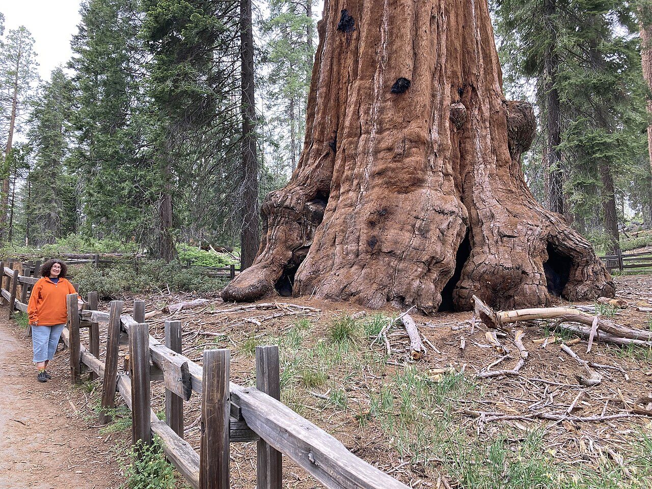 Kings Canyon National Park
