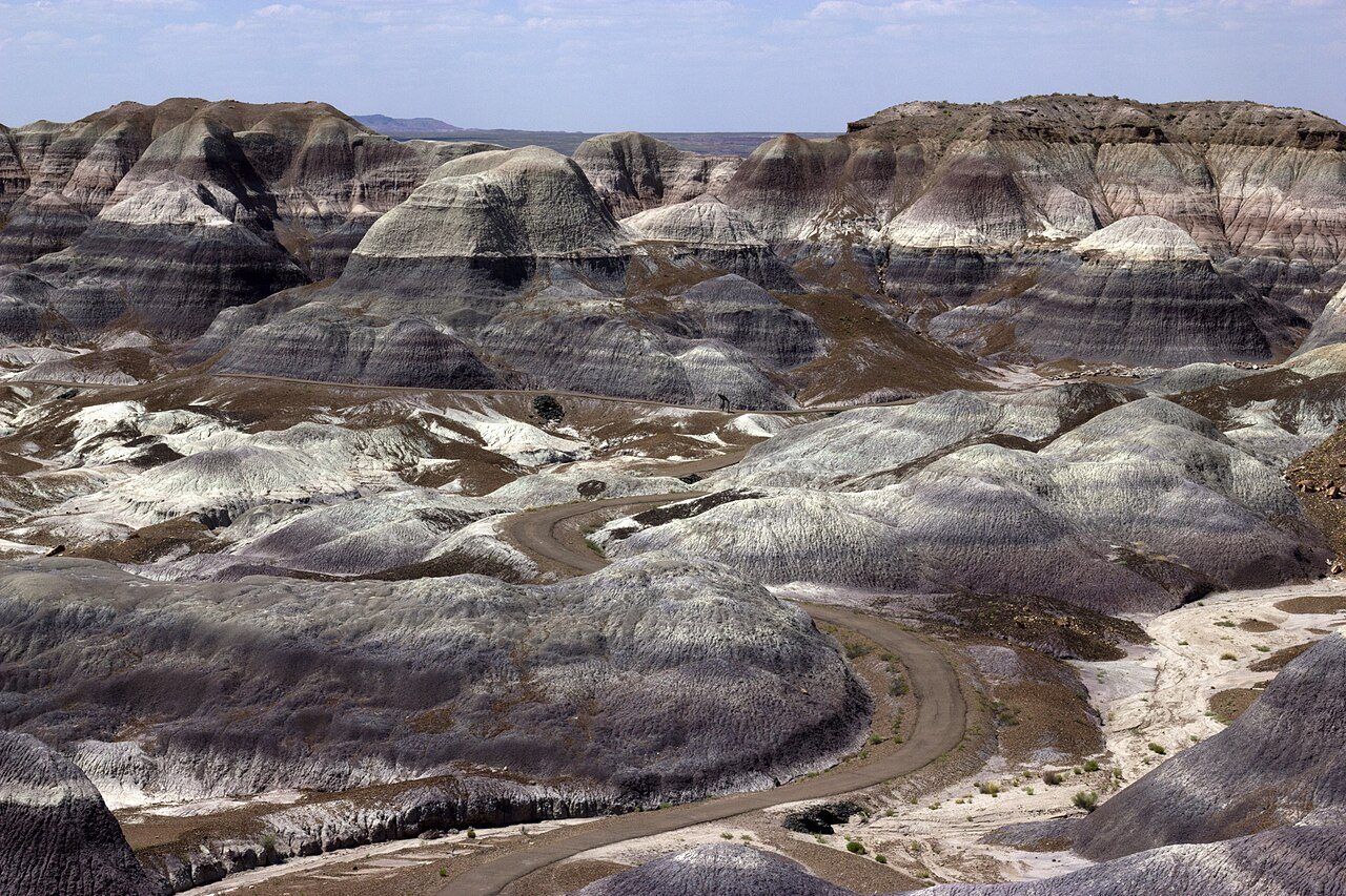 Petrified Forest National Park