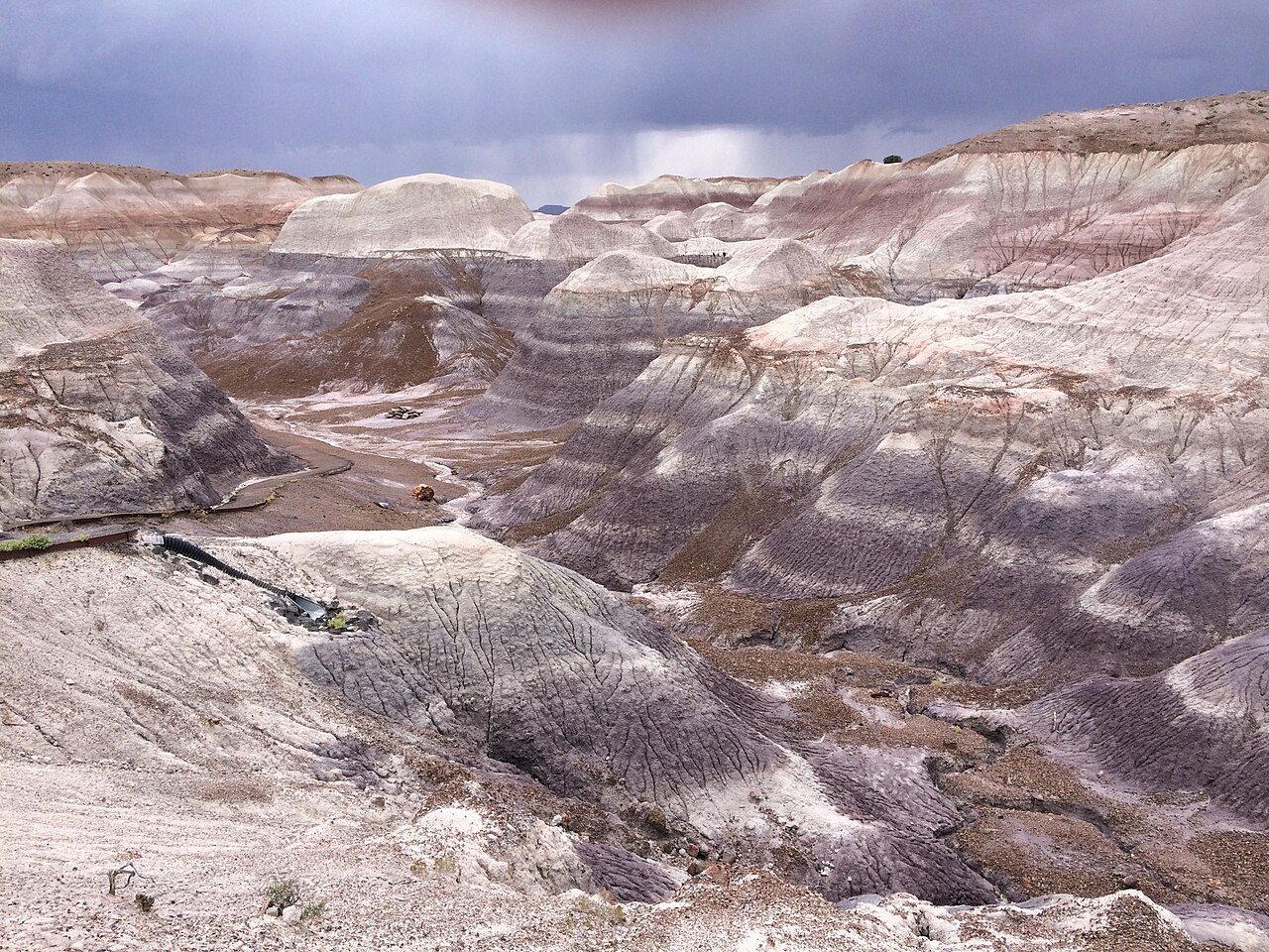 Petrified Forest National Park
