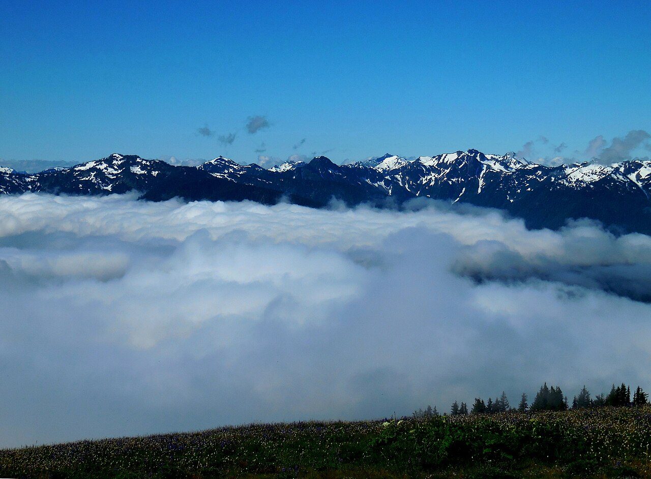 Olympic National Park